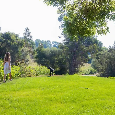 Demeure De Charme Suarella Domaine De Marquiliani *