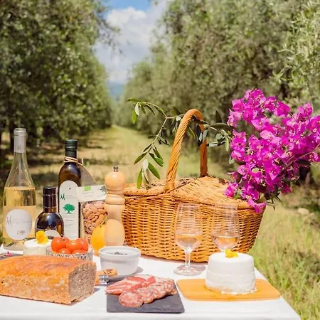 Demeure De Charme Suarella Domaine De Marquiliani Сasa de vacaciones *