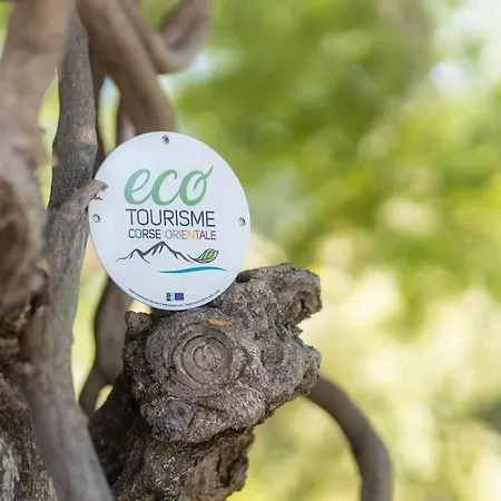 Demeure De Charme Suarella Domaine De Marquiliani