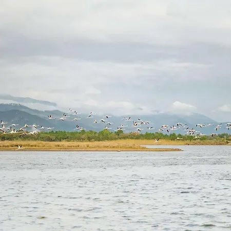 Сasa de vacaciones Demeure De Charme Suarella Domaine De Marquiliani