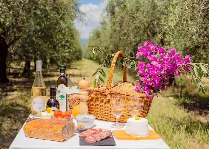 Demeure De Charme Suarella Domaine De Marquiliani 度假居 *