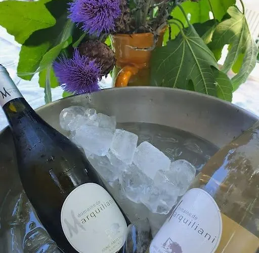Demeure De Charme Suarella Domaine De Marquiliani 度假居 Aghione