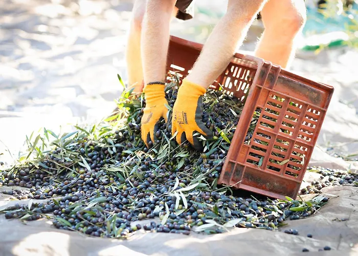 度假居 Demeure De Charme Suarella Domaine De Marquiliani Aghione