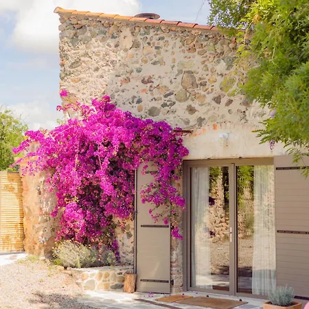 Demeure De Charme Suarella Domaine De Marquiliani Holiday home