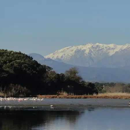 Demeure De Charme Suarella Domaine De Marquiliani * Aghione