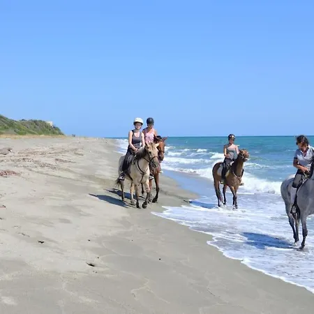 Demeure De Charme Suarella Domaine De Marquiliani