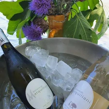Demeure De Charme Suarella Domaine De Marquiliani Hébergement de vacances Aghione