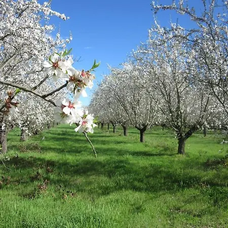 Hébergement de vacances Demeure De Charme Suarella Domaine De Marquiliani *