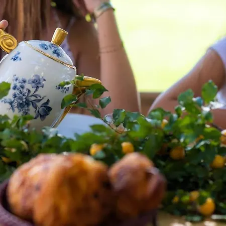 Demeure De Charme Suarella Domaine De Marquiliani 別荘 Aghione