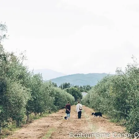 Demeure De Charme Suarella Domaine De Marquiliani * Aghione