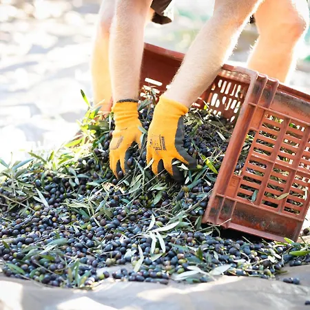 בית נופש Demeure De Charme Suarella Domaine De Marquiliani Aghione