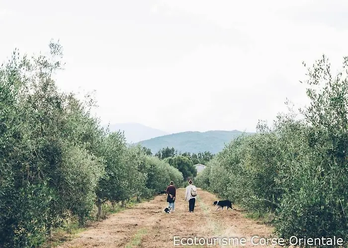 Demeure De Charme Suarella Domaine De Marquiliani * Aghione